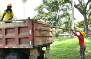 Avanzan obras en el Parque Tecnológico San Fernando