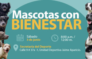 El sábado 3 de junio se realizará jornada de bienestar para mascotas de personal de la Alcaldía de Cali
