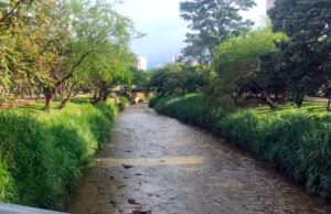El río Cali presenta un Índice de Calidad de Agua ‘aceptable’: Dagma