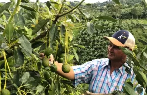 El Valle del Cauca se consolida en los mercados internacionales