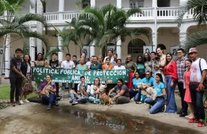 ¡Aprobada! Valle del Cauca ya tiene Política Pública de Protección y Bienestar Animal