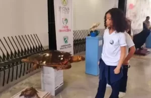 Con exposiciones científicas, la Gobernación del Valle se une al Día Mundial de los Océanos