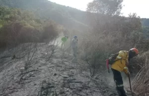 Gobierno del Valle monitorea acciones para combatir incendio forestal en zona rural de Yotoco