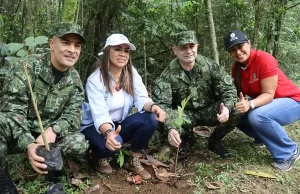 En nueve municipios del Valle el Día del Árbol se celebró con la siembra de más de 14.000 árboles