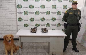Nuevamente el canino Toro de la Unipol impidió el envío de una ‘narcoemcomienda’
