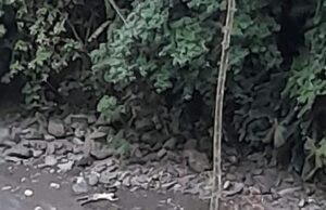 NACIONAL ANTIOQUIA /Tragedia en Dabeiba, : murieron cinco personas al caer de una garrucha cuando intentaban cruzar el río Sucio.