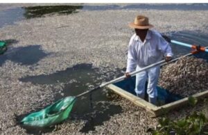 NACIONAL IBAGUE / Aberrante: pescador de 60 años fue abusado sexualmente por dos hombres