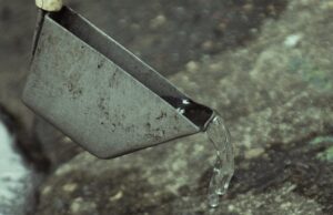 Casos de dengue en Cali van en descenso