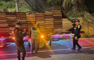 Continúan operativos de vigilancia y control al tráfico y transporte de madera