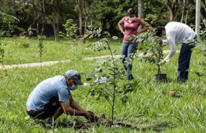 Siembra de plantas, limpieza y ‘parche río’, este sábado en Pilas del Cabuyal