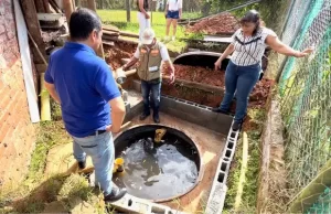 Aprenda a identificar y prevenir el dengue, la Unidad Ejecutora de Saneamiento del Valle brinda recomendaciones