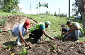 Con un jardín polinizador y huerta, jóvenes de la comuna 4 y Gestores Ambientales recuperan espacios públicos