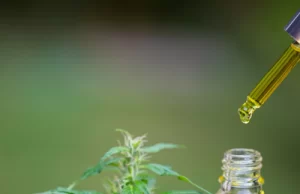 Realizarán caracterización de entidades que estudian transformación productiva y procesos de innovación con cannabis