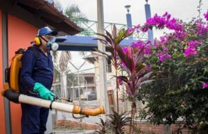 Control del dengue se fortalece en el norte y oriente de Cali