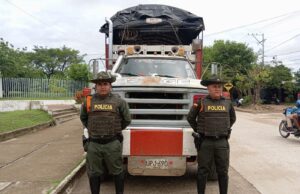 En Bolívar, incautaron 14 semovientes por inconsistencia en documentación
