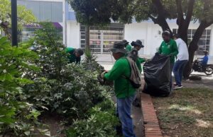 Dagma lanza nuevas temáticas en su ‘Línea Eco’