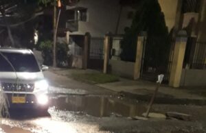 El limonar convertido en camino de herradura