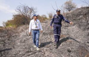 “No existen incendios espontáneos, es inadmisible que tengamos estas conductas sociópatas”: Secretario de Gestión del Riesgo de Cali