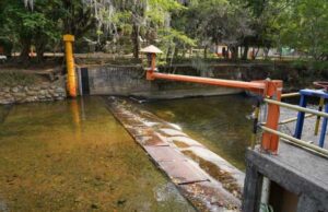 Dagma hace recorridos para evaluar condiciones del agua en el río Cali y sus afluentes
