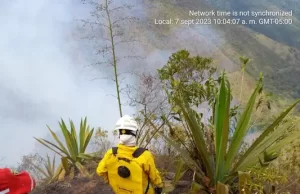 Organismos de socorro de cuatro municipios trabajan para controlar incendios forestales en Pradera