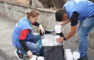 En Yumbo circulan los mosquitos Aedes aegypti con Wolbachia, la bacteria que erradicará la transmisión del dengue