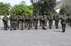 Cinco pelotones con soldados profesionales ya llegaron al Valle