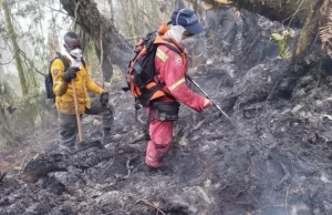 Urgente llamado a la Nación para activar protocolo aéreo para controlar incendios forestales en cuatro municipios