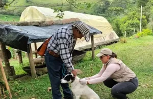 El Valle prepara vacunación de 5.000 animales en el Día Mundial contra la Rabia