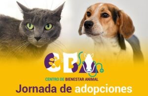 Centro de Bienestar Animal realizará jornada de adopciones