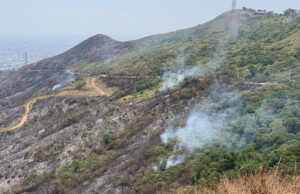 Jornada de limpieza y riego en sector del cerro Altos de Menga y Guacas, afectados por incendio forestal