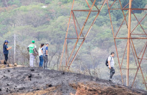 Después de los incendios forestales no se pueden hacer siembras inmediatamente