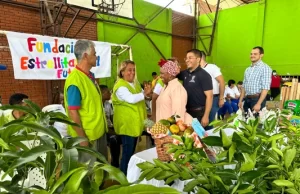 En recorridos por el Valle, Gobierno departamental conoce el trabajo de los campesinos beneficiarios de ‘Seguridad Alimentaria’