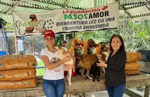 El Valle continúa ‘Salvando Huellas’ con la entrega de alimentos, medicamentos y materiales para ayudar a más de 10 mil animales