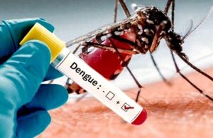 Aumento preocupante de dengue en el Valle del Cauca ya supera los 16 mil casos