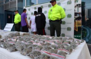 Desarticuladas dos bandas criminales que afectaban a jóvenes del norte de Cali