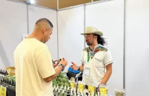 Recuento de la semana Región: La industria del cannabis y cáñamo proyecta generar más de 44 mil empleos en Colombia