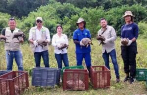 Operativo de Rescate: EPA y CVC liberan 220 animales confiscados en Cali