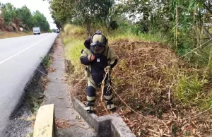 Prevención de atentados en el Sur del Cauca