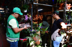 Operativos contra Tráfico de Flora y Fauna