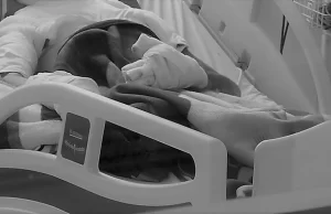 Recuento de la Semana: Alborada navideña dejó cuatro lesionados por pólvora en el Valle