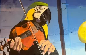 Un ‘Concierto Ornitológico’ embellece a Cali para volver a sonreír