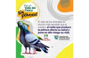Autoridades de Salud del Valle hacen vigilancia intensificada de lesionados por pólvora y ahora de animales extraviados