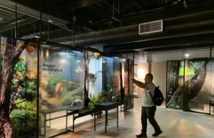 En sus 60 años el Museo Departamental de Ciencias se alista para lucir una nueva cara