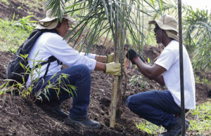 Programa internacional ofrece beca para maestría en Ciencias Sociales y Desigualdades