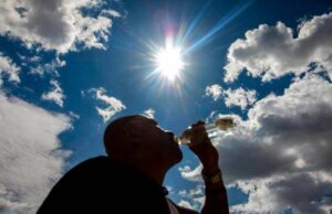 Alerta conjunta: Chile y Argentina ante riesgo de incendios por aumento de temperaturas