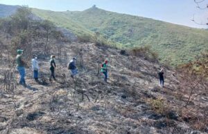 Dagma evalúa impacto ambiental del incendio forestal en Pilas del Cabuyal