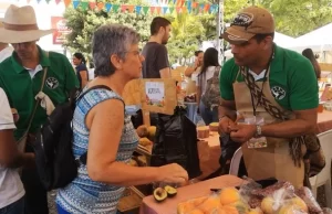 Reactivación de la Mesa Campesina: Impulso al Agro en el Gobierno del Valle
