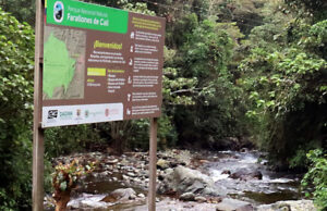 Acciones conjuntas contra delitos ambientales en los Farallones: Alcaldía y Gobernación de Cali trabajan juntas