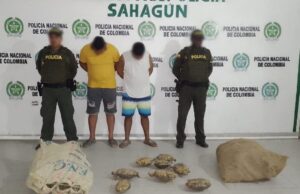 Operativo policial en Cordoba desmantela sacrificio de 87 hicoteas para Semana Santa