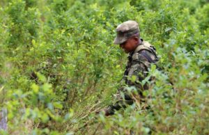 Congresistas de EE.UU. exploran paz y política de drogas en visita a Colombia